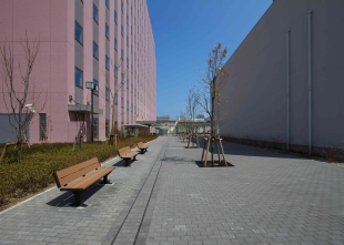 新潟美崎合同庁舎：光庭（オープンスペース）
