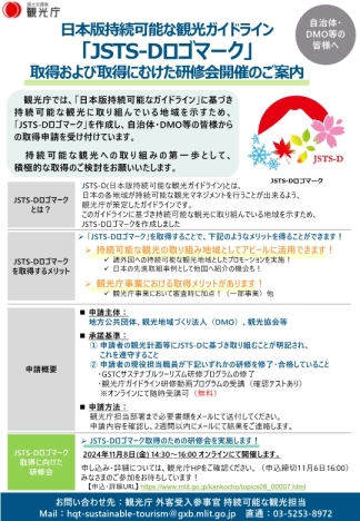 JSTS-Dロゴチラシ