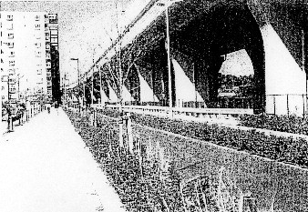 �O���R���ڌ����_�t�߂̏a�؂̉摜�i���p��j